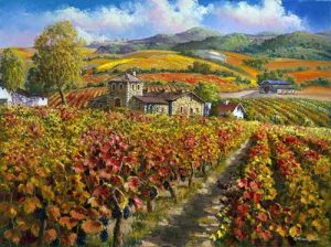 Red Vineyards Of Napa Valle